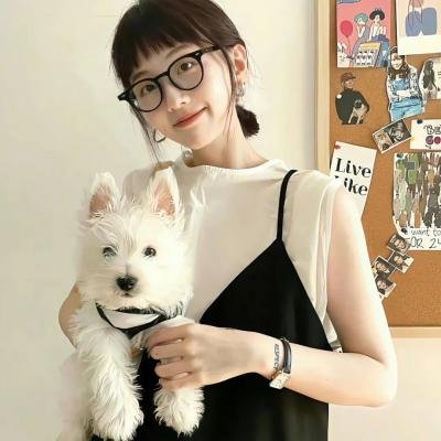 开始跳舞吧第三季 海报