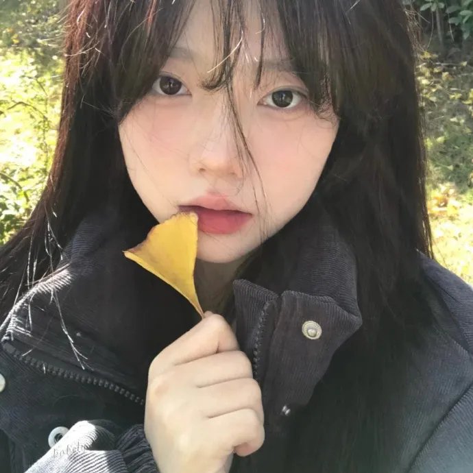 恶童日记 海报